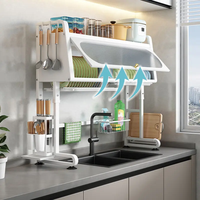 Nouveau Égouttoir Multifonctionnel pour Vaisselle, Assiettes et Couverts, Support de Rangement pour Évier avec Protection Anti-Poussière, à Fixer sur Porte d'Armoire