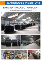 70mm 95mm 120mm 150mm 185mm 240mm Einadriges 0,6/1kV Aluminium-Leiterkabel, mehradrig, XLPE-isoliert, YJLV, unarmiertes Stromkabel