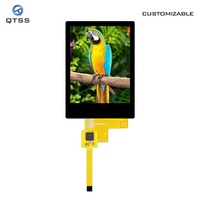 Modul Layar LCD TFT IPS Vertikal Persegi Panjang 2,4 Inci 240*320 Antarmuka SPI ST7789T3 dengan Panel Layar Sentuh Kapasitif CTP