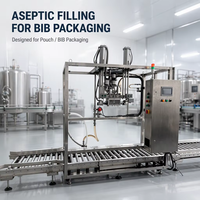 Machine de remplissage aseptique BIB (Bag-in-Box) à tête unique pour vin de fruits, jus, boissons concentrées et liquides fermentés, capacité 1 tonne
