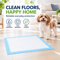 Tapis d'entraînement pour chiens jetables, avec dessus en maille douce, noyau en pâte SAP haute absorption et film imperméable, pour la maison et les voyages