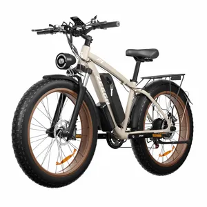 Bicicleta elétrica 1000W 48V 16AH Ebike, bicicleta elétrica com 7 velocidades, pneu de 26*4.0 polegadas, armazém da CA