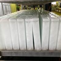 Máquina Industrial para Producción de Hielo en Bloques de 5 Toneladas, Venta Caliente 2025, Precio para África, Guinea, Haití, Perú