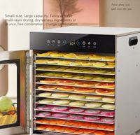 OEM/ODM beschikbaar. Commerciële 10-bakjes roestvrijstalen 400W mini-voedseldroger voor fruit en groenten - voor kleine producenten.