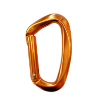 Mousqueton professionnel ovale 25kN H-Section O-Twist Triact pour l'escalade, le sauvetage et les travaux en hauteur
