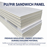 Panel Dinding Sandwich PU PIR Ringan 50mm untuk Pelapis Dinding Eksterior Panel Dinding Sandwich Logam