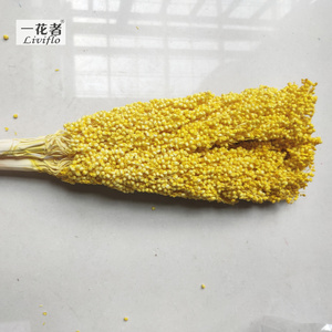 Bella Naturale Secca Sorgo Bouquet Conserve di Sorgo Fiore pianta - Product Image 4