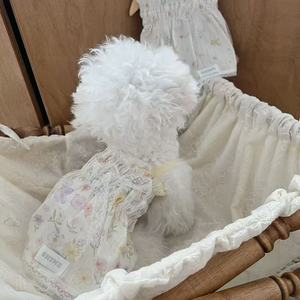 Robe d'été fine et légère pour chats et chiens, idéale pour les Bichon Frise, Teddy Bear et Maltese. - Product Image 2