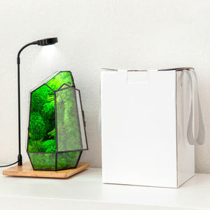 Eco Vriendelijke Terrarium Glazen Containers Met Kweeklampen Geconserveerd Mos Frame Mos Decoraties Natuurlijke Echte Mos Muur Kunst - Product Image 6