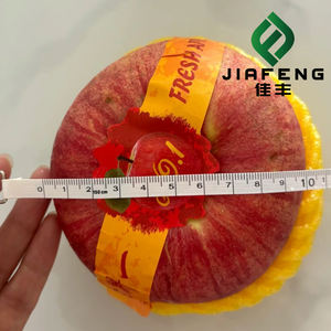 Mele Fuji Biologiche Fresche Prezzo all'Ingrosso Origine Shandong - Product Image 6