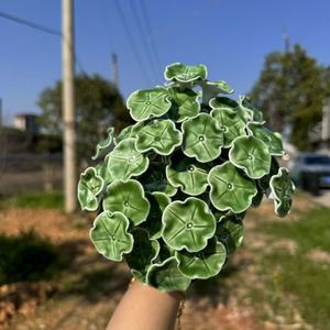 Jingdezhen cerámica ecológica alta calidad flor amasado a mano eterno decoración del hogar sala de estar artesanía Rosa peonía flor - Product Image 6