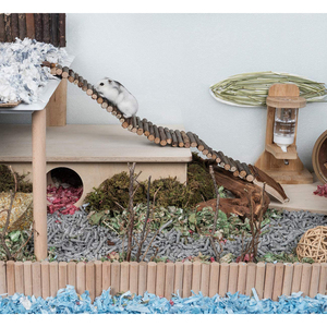 Animales pequeños conejillo de indias hámsteres juguetes <span class=keywords><strong>puente</strong></span> <span class=keywords><strong>colgante</strong></span> pequeña mascota escalera de escalada larga - Product Image 2