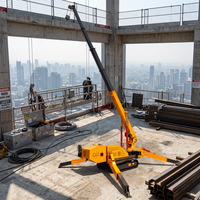 Mini-grue araignée certifiée CE UNW 1t 2t 3t 5t 8t pour l'installation de vitrages en intérieur dans des espaces étroits