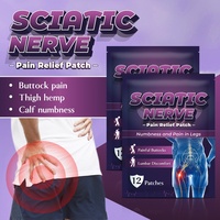 Sumifun – Patchs auto-chauffants transfrontaliers sans chauffage requis pour le soulagement de la douleur, soin de la sciatique, points d'acupuncture, vertèbres lombaires – 12 unités