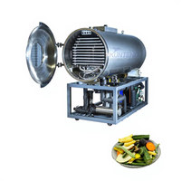 China Leverancier Fruit En Groente Knapperige Fruit En Vlees Vriesdroger Lage Temperatuur Droogmachine
