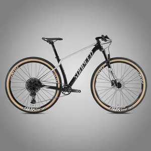 Oem Fabriek Bicicletas Hydraulische Rem Fiets Mountainbike 29 Inch Voor Man