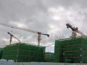 重型二手塔式起重机 16 吨起重能力 75m 出臂长度 无顶核心电机齿轮箱泵发动机零部件出售 - Product Image 4