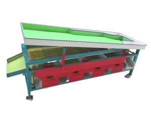 Machine de tri de tomates multifonctionnelle neuve, machine de tri de légumes neuve, fabriquée en Chine - Product Image 3