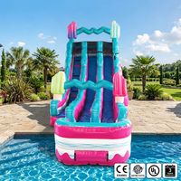 Toboggan aquatique gonflable écologique à double piste, capacité 600 kg, personnalisable, pour fêtes d'été pour enfants, jardin, CE EN4960