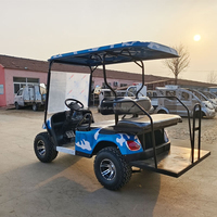 Voiturette de golf électrique tout-terrain sur mesure en gros, buggy de golf électrique personnalisable pour diverses situations