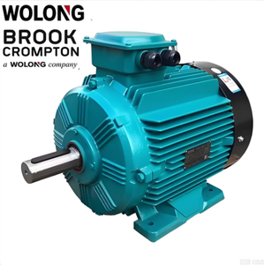 มอเตอร์กันน้ำและกันฝุ่น Brook Motor มอเตอร์เหนี่ยวนำสามเฟส AC 11kw 18.5kw 22kw 30kw 45kw 55kw 75kw 2800rpm - Product Image 1
