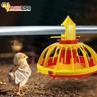 Équipement d'alimentation pour élevages de volailles : mangeoires pour poulets de chair, poules pondeuses et reproducteurs