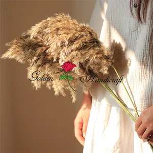 QSLH-570 Decorative Flowers Fluffy Large Pampas Pampa Grass Table Decoration Dry Flowers Bouquet Natural Dried Pampas Grass