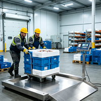 Balance au sol industrielle KUNSCALE YK-SFD, capacité 300 kg, acier inoxydable robuste, précision 500 g, compatible OEM, garantie 1 an