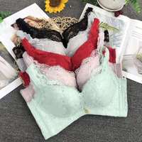 Demi soutien-gorge en dentelle transparente florale Non doublée, soutien-gorge Non rembourré, confort, armature en maille pour femmes