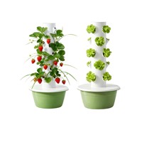 Systèmes de culture aéroponique/hydroponique d'intérieur Jardinière verticale 20 trous pour tour de jardin
