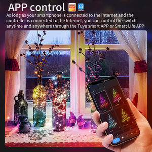 Guirlande lumineuse solaire intelligente Tuya WiFi pour les fêtes, guirlande lumineuse à LED en fil de cuivre pour mariage, plafond, camping - Product Image 3