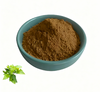 Poudre d'extrait de feuille de mûrier 10:1 de qualité alimentaire, extrait végétal pour complément alimentaire et mélange de boissons