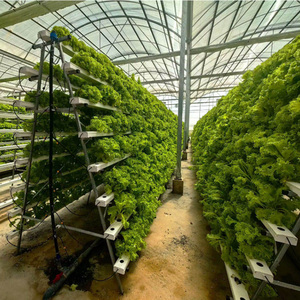 Smart Automatic NFT Hydroponic System Vertical Hydroponics Irrigation Equipment Greenhouse Hydroponic Automation System - Product Image 6