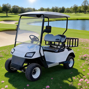 Voiturette de golf électrique la plus vendue, alimentation directe usine, batterie au plomb haute puissance, structure en acier, capacité 2 personnes, meilleur prix - Product Image 3