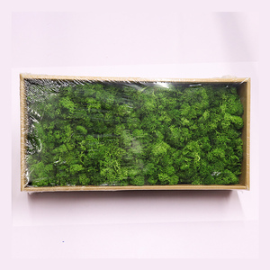Suministros de decoración de césped artificial moss panel - Product Image 5