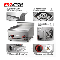 Grill au gaz commercial à pierres de lave pour comptoir, idéal pour la viande et les fruits de mer dans les restaurants et les steakhouses