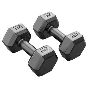 Snelle Levering Fitnessapparatuur Krachttraining Milieubescherming Cement Rubber Hex Dumbbells