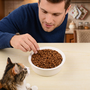 Nouvelle Offre 2026 : Aliment Sec pour Chats 10kg, Sans Céréales, Riche en Protéines, Ingrédients Naturels, Pour Toutes Races – Vente en Gros Direct Usine - Product Image 2