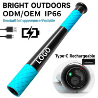 Lampe torche LED P50 haute luminosité, rechargeable par Type-C, étanche IP66, portable, pour camping et défense, accepte la vente en gros