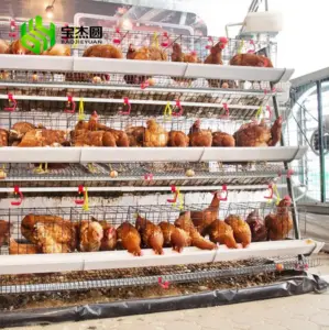 Hot Dip Galvanize Steel Big A Type Poultry Farm Equipment Battery Layer Automatic Chicken Cage With Egg Laying System