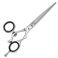 Ciseaux de Salon de coiffure de qualité supérieure en acier inoxydable, ciseaux de coupe de cheveux, outils de beauté, argent poli