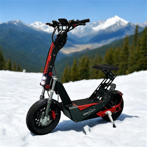 Piezas de Repuesto para Patinete Eléctrico, Guardabarros Delantero y Trasero de Plástico Color Fibra de Carbono con Soporte para Patinete Eléctrico Geofought F8 Racing - Product Image 4