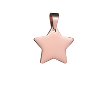 Großhandel Blank Metal Star Shaped Gold Metall Pet Id Tag mit Ring Edelstahl Hunde marke