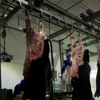 Machines automatiques d'abattoir bovin pour la production de boucherie d'abattoir de viande