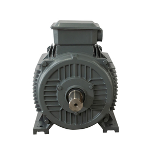 Generador Magnético Permanente PMG de 5kw-1000kw para Energía Eólica - Marca Ynd Zhejiang China - Product Image 5