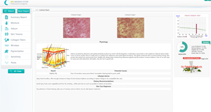 Analizador de Piel Digital de Alta Definición, Instrumento Inteligente para el Cuidado de la Piel, Versión Francesa, Suministros para el Cuidado de la Salud, Venta al Por Mayor de Fábrica - Product Image 4