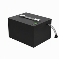 Batterie Lithium-Ion à Décharge Profonde pour Trottinette Électrique, Vente en Gros Usine, 48V 60V 72V, Packs 30Ah 40Ah 50Ah 60Ah 70Ah 80Ah 100Ah, Citycoco LiFePO4
