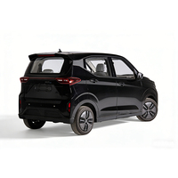 Véhicule électrique haut de gamme à énergie nouvelle, atmosphérique, avec quatre portes et cinq places, SUV Shatchback