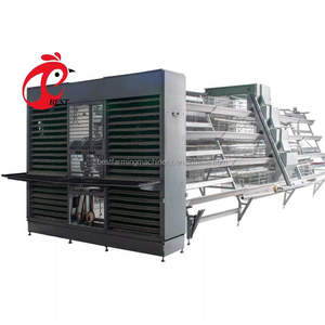 Ontwerp Van De Pluimveehouderij In <span class=keywords><strong>Zambia</strong></span> Tanzania Volautomatische Apparatuur Voor De Kooi Van De Batterijlaag - Product Image 6