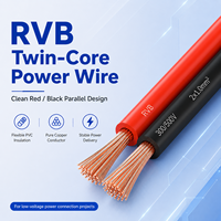 Cable Plano Doble RVB 2x0.3mm2 Rojo y Negro, Cable de Alimentación Flexible con Aislamiento de PVC, 300V, 100M 200M